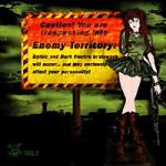 Various Artists - Enemy Territory (CD)