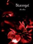Blutengel - Live Lines (Standard) (DVD)