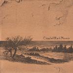 Crippled Black Phoenix - Sharks & Storms / Blizzard Of Horned Cats  (10'' Vinyl)