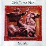 Pink Turns Blue - Eremite  (CD)