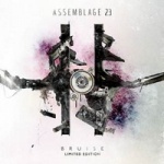 Assemblage 23 - Bruise (Limited 2CD Digipak)