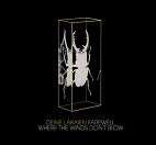 Deine Lakaien - Farewell / Where The Winds Don't Blow (MCD)