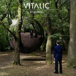 Vitalic - Stamina (Vinyl)