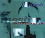 Mesh - You Didn't Want Me (MCD)