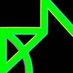 New Order - Singularity (CDS)
