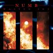 Numb - Wasted Sky (vinyl)