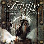 Various Artists - The Trinity Compilation CD 2 (Hidden Sanctuary)