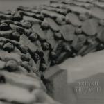 Triarii - Triumph