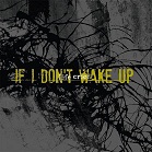 Life Cried - If I Don't Wake Up (CD)