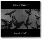 Diary Of Dreams - Grau im Licht (CD)
