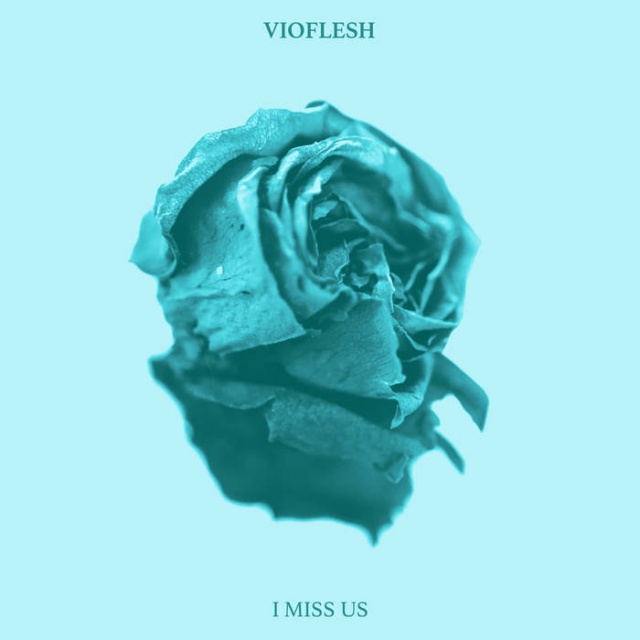 Vioflesh - I Miss Us