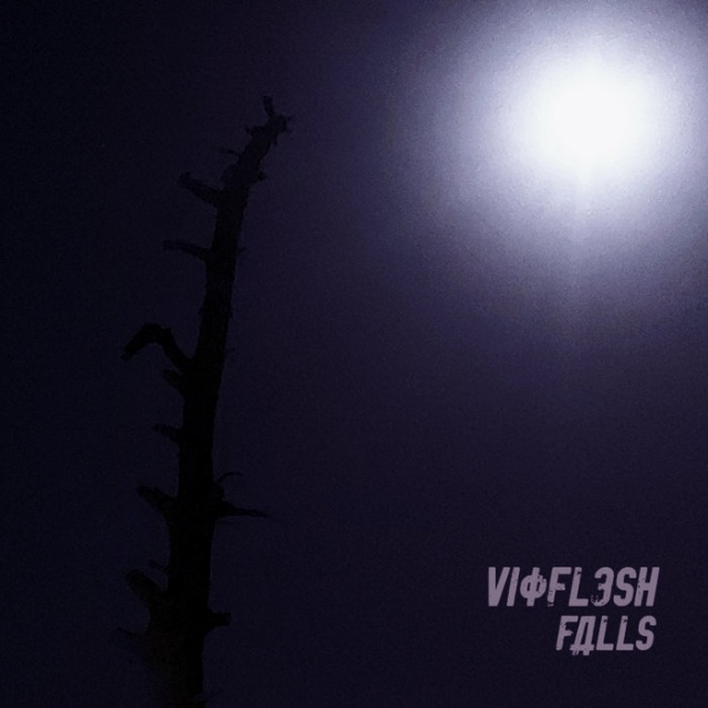 Vioflesh - Falls