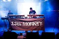 13th Monkey